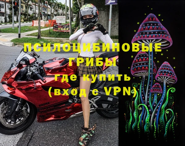 ешки Волоколамск