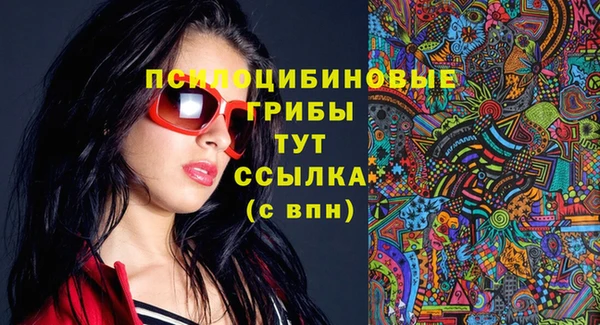 тгк Туринск