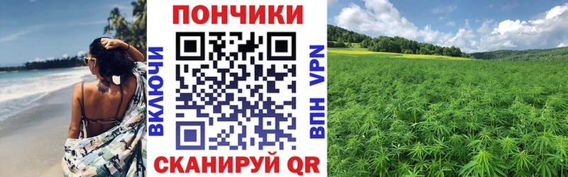 Бошки Шишки марихуана  Каргополь 
